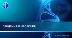 Пандемия и эволюция